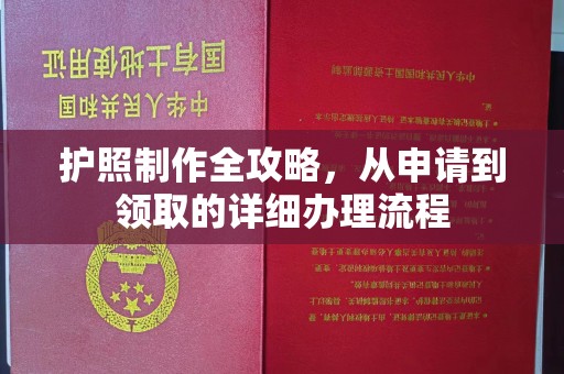 暖暖护照制作全攻略，从申请到领取的详细办理流程