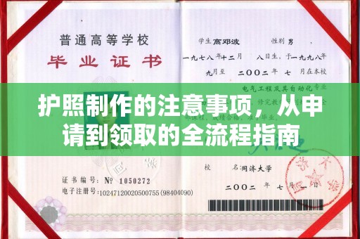 暖暖护照制作的注意事项，从申请到领取的全流程指南