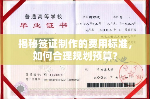 暖暖揭秘签证制作的费用标准，如何合理规划预算？