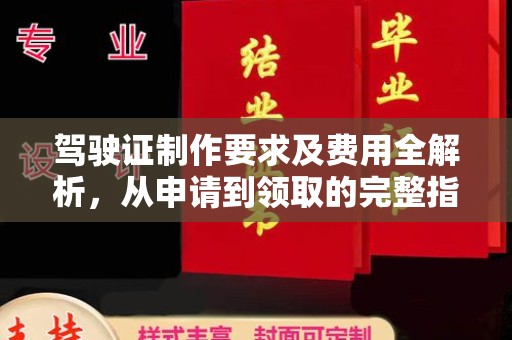 暖暖驾驶证制作要求及费用全解析，从申请到领取的完整指南