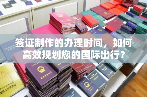 暖暖签证制作的办理时间，如何高效规划您的国际出行？