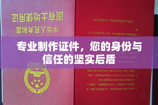 暖暖专业制作证件，您的身份与信任的坚实后盾