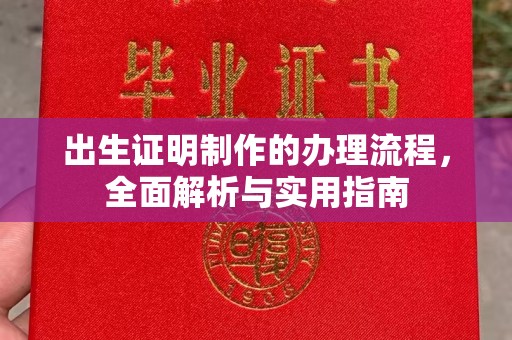 暖暖出生证明制作的办理流程，全面解析与实用指南