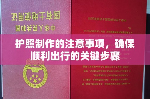 暖暖护照制作的注意事项，确保顺利出行的关键步骤