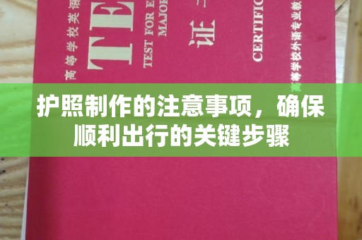 暖暖护照制作的注意事项，确保顺利出行的关键步骤