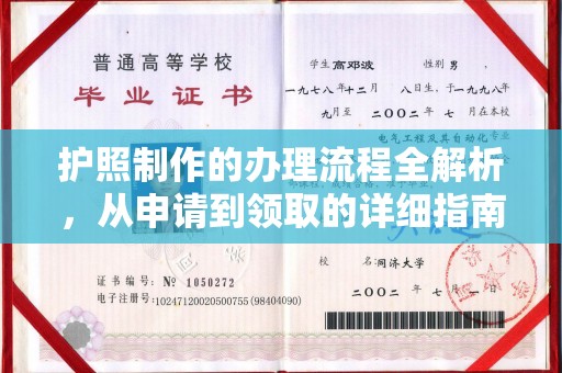 暖暖护照制作的办理流程全解析，从申请到领取的详细指南