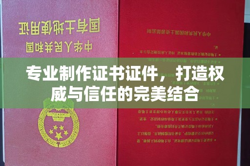 暖暖专业制作证书证件，打造权威与信任的完美结合