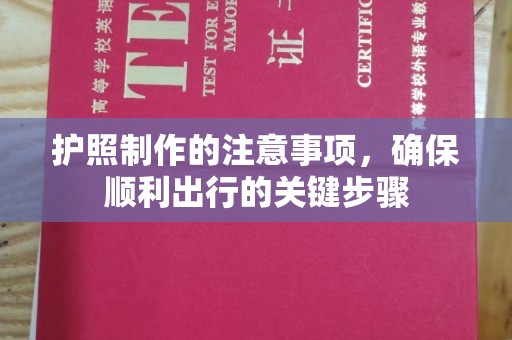 暖暖护照制作的注意事项，确保顺利出行的关键步骤