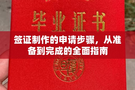 暖暖签证制作的申请步骤，从准备到完成的全面指南