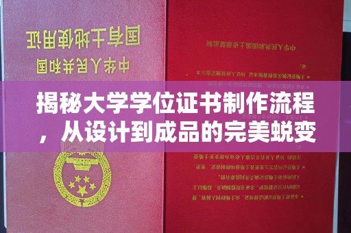 暖暖揭秘大学学位证书制作流程，从设计到成品的完美蜕变