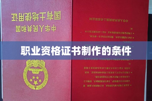 暖暖职业资格证书制作的条件