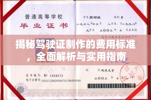 暖暖揭秘驾驶证制作的费用标准，全面解析与实用指南