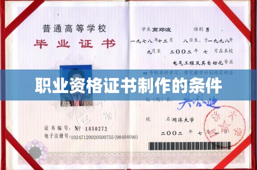 暖暖职业资格证书制作的条件