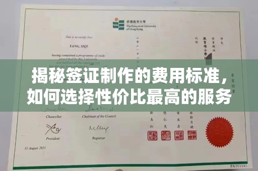 暖暖揭秘签证制作的费用标准，如何选择性价比最高的服务？