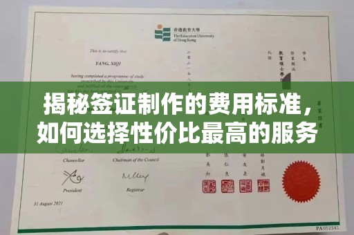 暖暖揭秘签证制作的费用标准，如何选择性价比最高的服务？