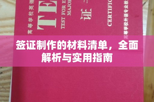 暖暖签证制作的材料清单，全面解析与实用指南