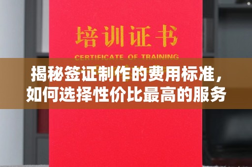 暖暖揭秘签证制作的费用标准，如何选择性价比最高的服务？