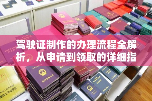 暖暖驾驶证制作的办理流程全解析，从申请到领取的详细指南