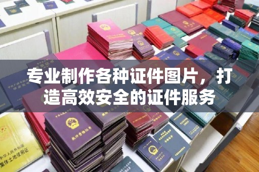 暖暖专业制作各种证件图片，打造高效安全的证件服务