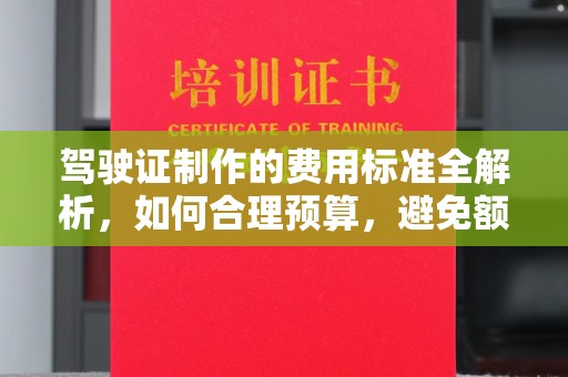 暖暖驾驶证制作的费用标准全解析，如何合理预算，避免额外支出