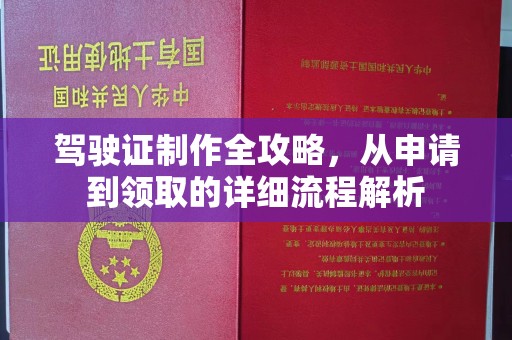 暖暖驾驶证制作全攻略，从申请到领取的详细流程解析