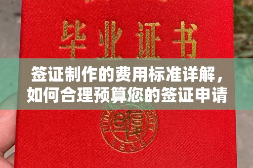 暖暖签证制作的费用标准详解，如何合理预算您的签证申请成本